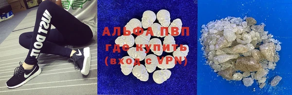 a pvp Белокуриха